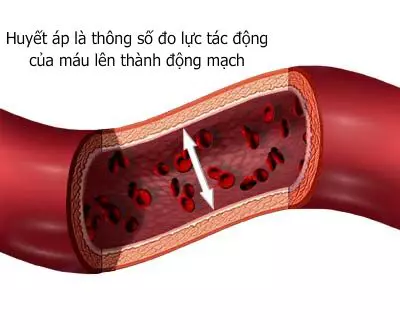 Huyết áp là áp lực của dòng máu lên thành động mạch.webp